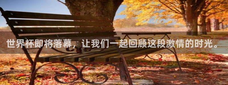 足球世界杯：世界杯即将落幕，让我们一起回顾这段激情的时光。
