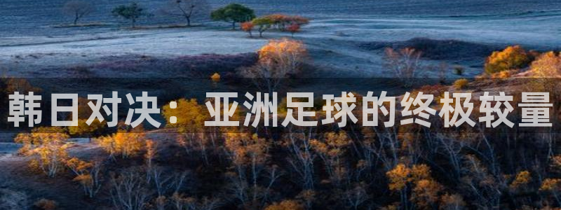 世界杯比赛直播：韩日对决：亚洲足球的终极较量