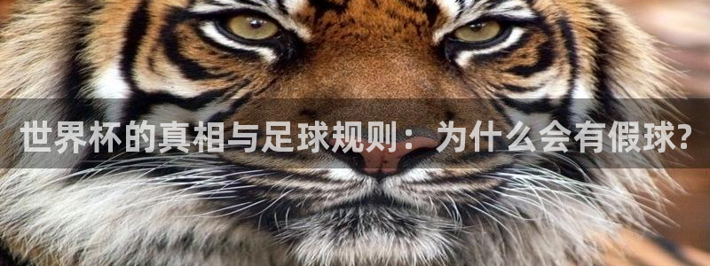 世界杯预选赛赛程时间表：世界杯的真相与足球规则：为什么会有假球?