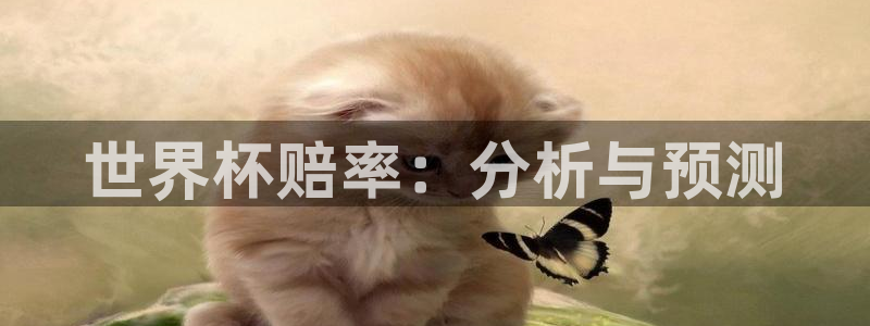 世界杯欧洲区世预赛赛程：世界杯赔率：分析与预测