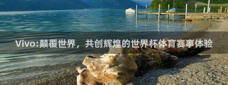 世界杯球队：Vivo:颠覆世界，共创辉煌的世界杯体育赛事体验