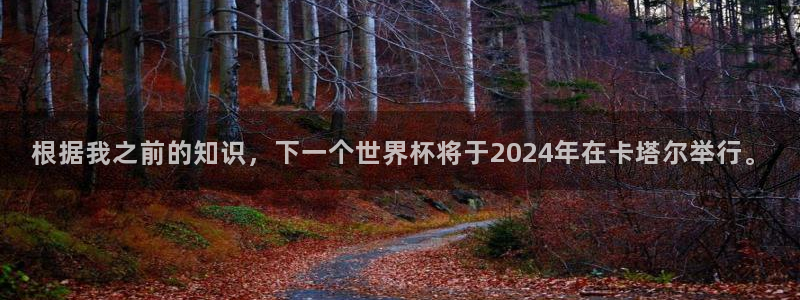 世界杯亚洲区预选赛赛程：根据我之前的知识，下一个世界杯将于2024年在卡塔尔举行。