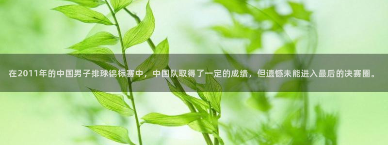 中国 世界杯：在2011年的中国男子排球锦标赛中，中国队取得了一定的成绩，但遗憾未能进入最后的决赛圈。