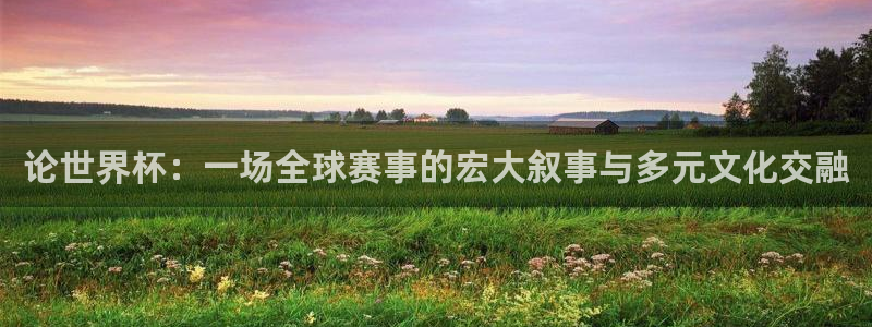 2026年男足世界杯：论世界杯：一场全球赛事的宏大叙事与多元文化交融