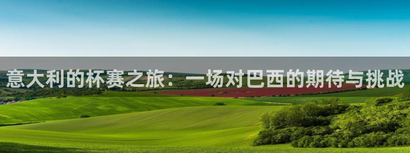 世界杯预选赛亚洲：意大利的杯赛之旅：一场对巴西的期待与挑战