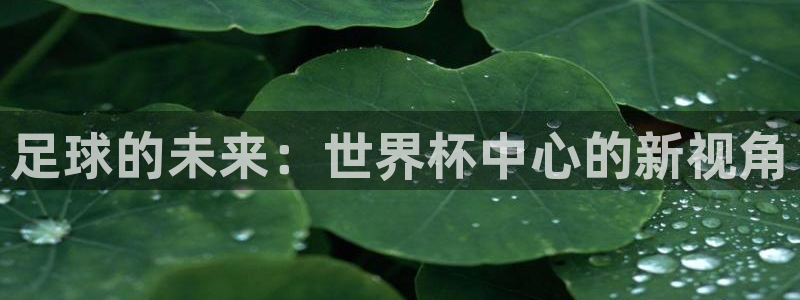 世界杯48支球队赛制：足球的未来：世界杯中心的新视角