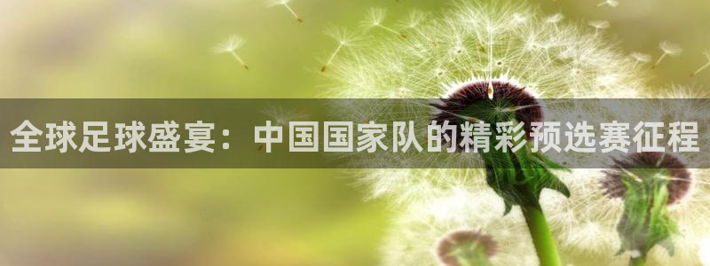 看世界杯：全球足球盛宴：中国国家队的精彩预选赛征程