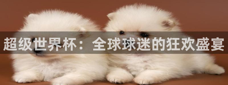 世界杯足球赛2026：超级世界杯：全球球迷的狂欢盛宴