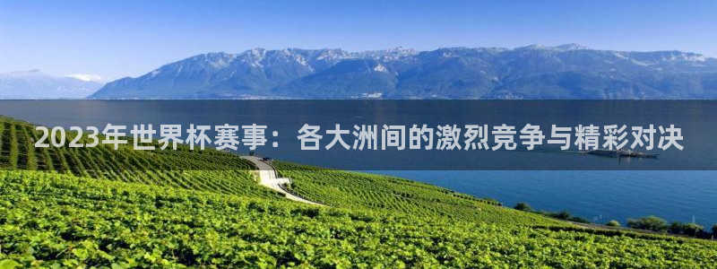 世预赛赛程表：2023年世界杯赛事：各大洲间的激烈竞争与精彩对决